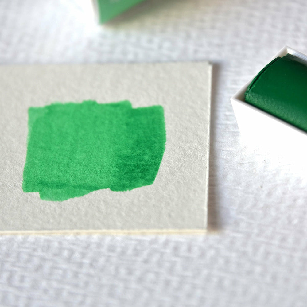 Aquarellfarbe 1/2 Godet Cotman Smaragdgrün Winsor & Newton