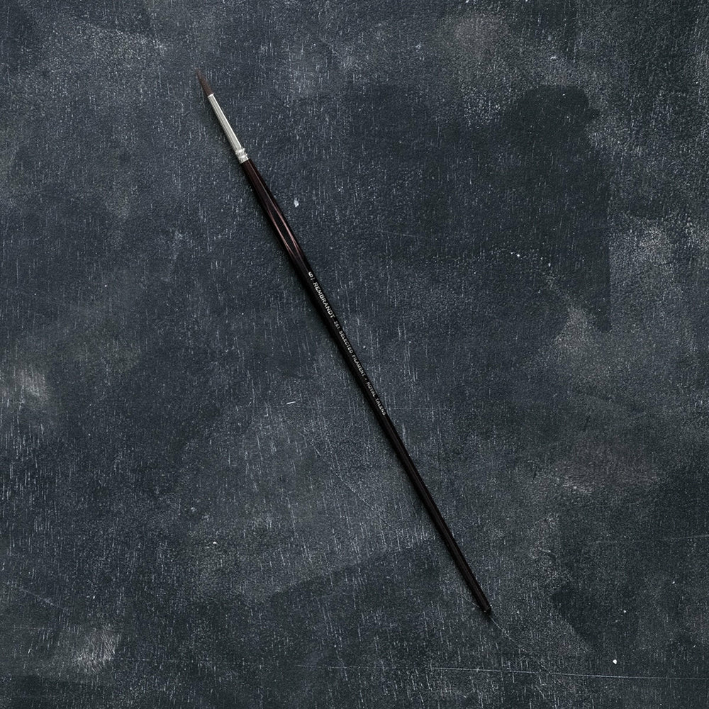 Teijin-Pinsel Serie 261 Nr. 6 Rund Rembrandt (1)