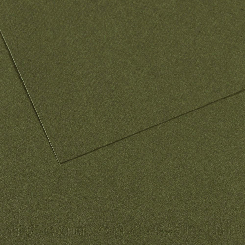 Zeichenpapier 448 Ozeangrün Mi-Teintes 160 g. 50 X 65 Canson