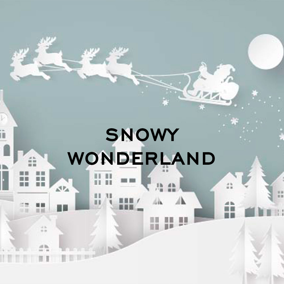 Snowy Wonderland