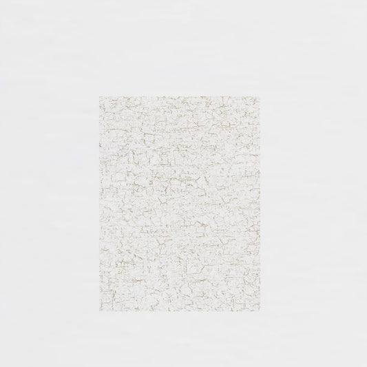 Décopatch Blatt 444 Weiss Risse 30 X 40