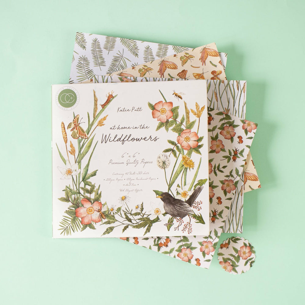 Set Papier Scrapbooking At Home In The Wildflowers 15 X 15 Craftlines (1)