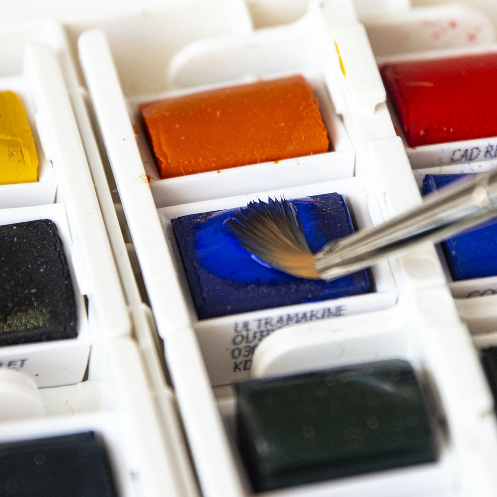 Box 16 Halbe Näpfchen Und 3 Tuben Aquarellfarben Cotman Winsor & Newton (2)