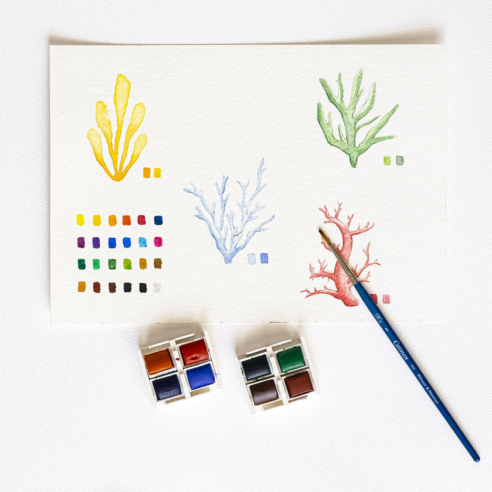 Box 24 Aquarellfarben Cotman Painting Plus Winsor & Newton