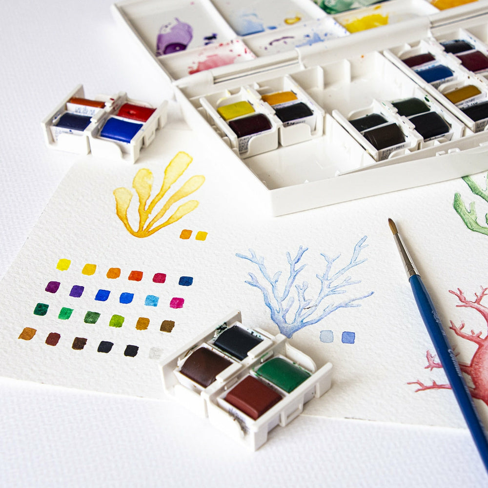 Box 24 Aquarellfarben Cotman Painting Plus Winsor & Newton (2)
