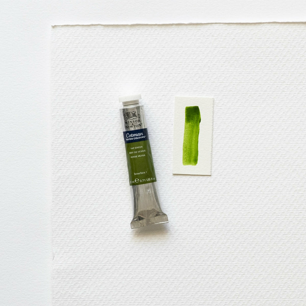 Aquarellfarbe Cotman Tube Sap Green 21 ml Winsor & Newton (1)