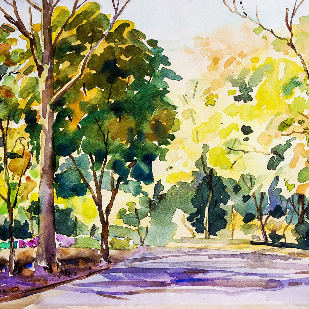 Aquarellfarbe 1/2 Godet Cotman Kadmiumgelb Winsor & Newton (2)
