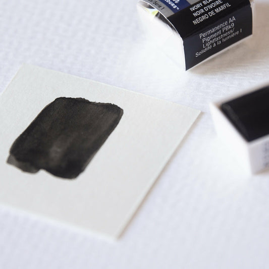 Aquarellfarbe 1/2 Näpfchen Cotman Elfenbeinschwarz Winsor & Newton