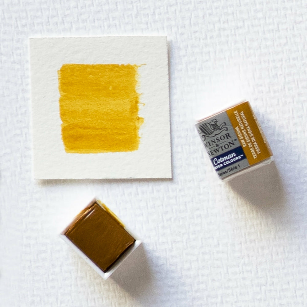 Aquarellfarbe 1/2 Godet Cotman Siena Natur Winsor & Newton (1)