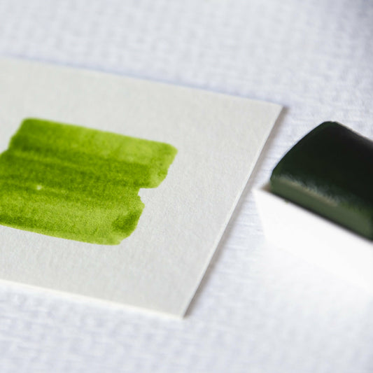 Aquarellfarbe 1/2 Godet Cotman Saftgrün Winsor & Newton