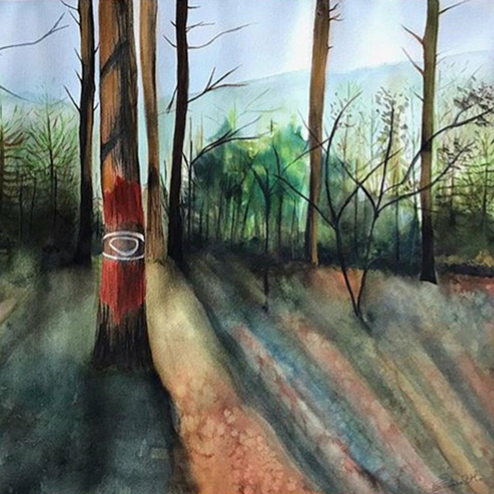 Metallbox 12 Aquarellfarben Näpfchen 12,8 X 7,3 Schmincke (3)