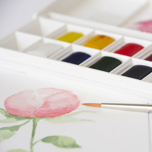 Box 8 Aquarellfarben Näpfchen Cotman, Blumenmalerei, von Winsor & Newton