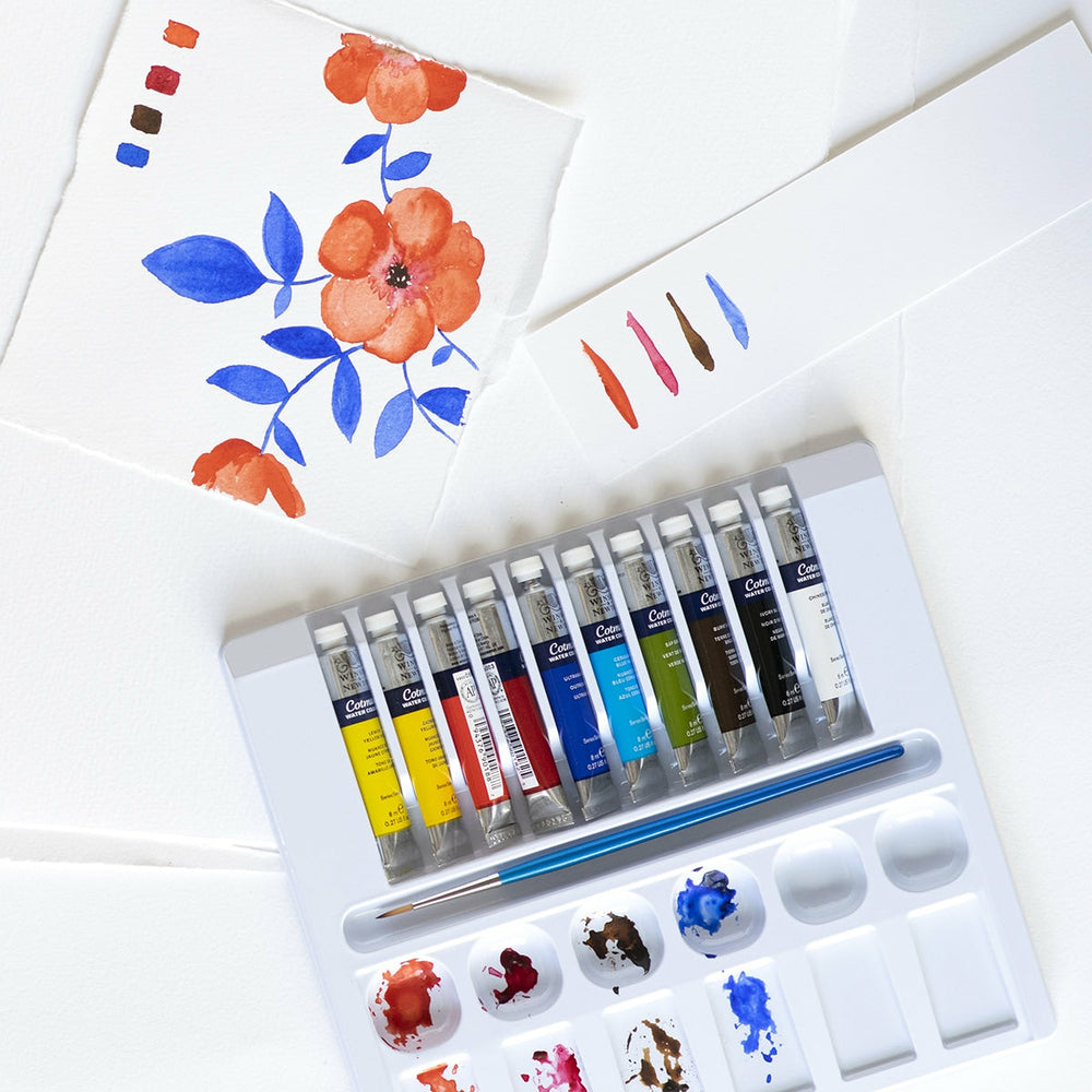 Box 10 Aquarellfarben Tube 8 ml Winsor & Newton (1)