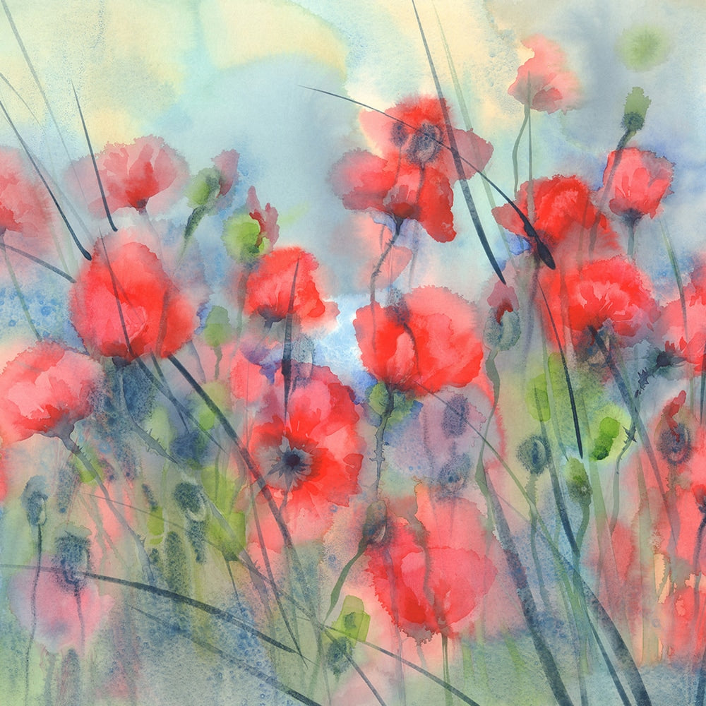 Profi-Box 24 Aquarellfarben Winsor & Newton (3)