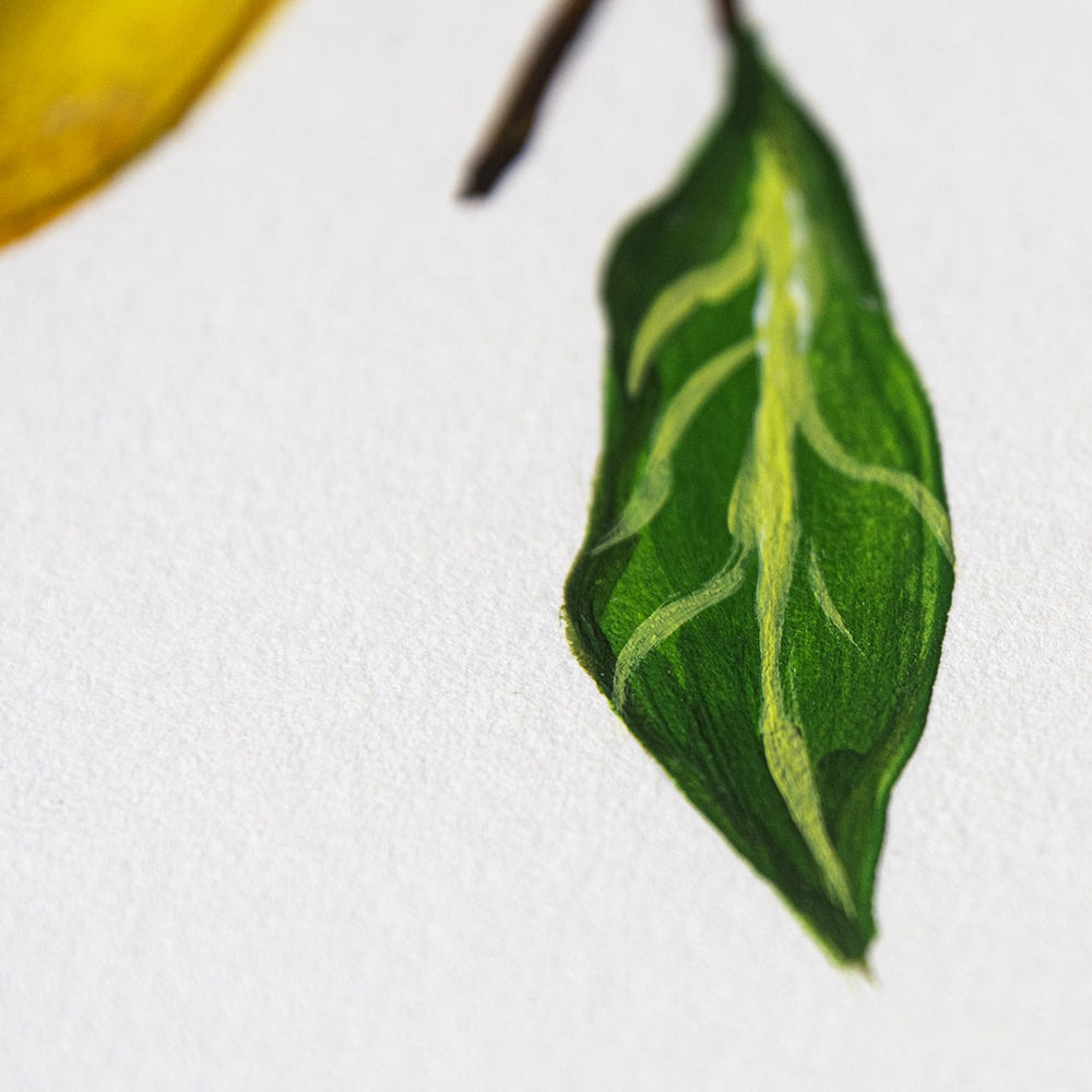 Starterset Komplett Aquarell Von Art Creation (2)