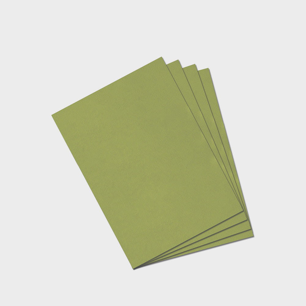 Zeichenpapier 480 Mandelgrün Mi-Teintes 160 g. 50 X 65 Canson