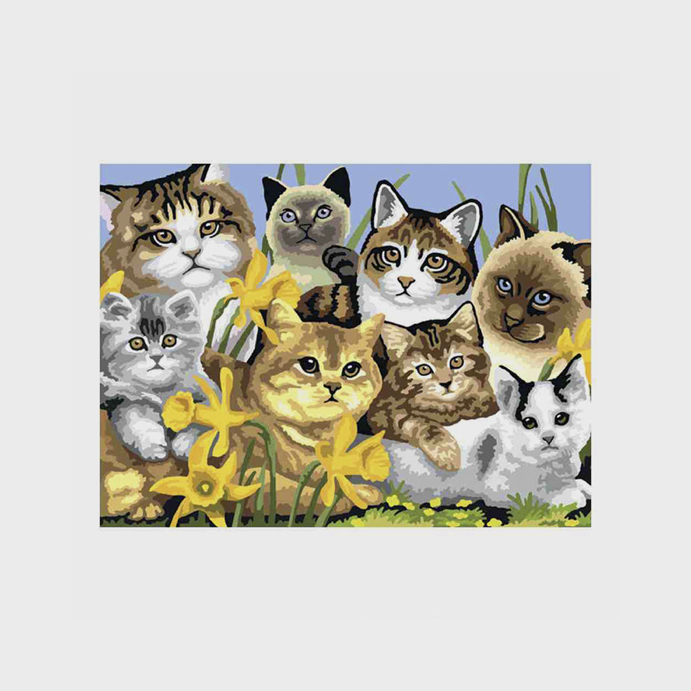 Set Katzen Malen nach Zahlen, Royal & Landnickel, 13-teilig