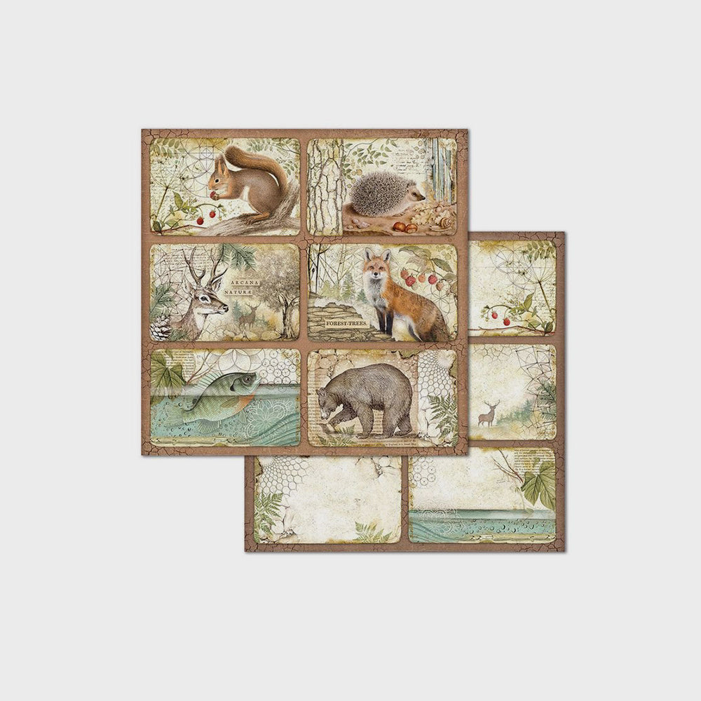 Set Bastelpapier Wald, 20 x 20 cm, Stamperia (2)