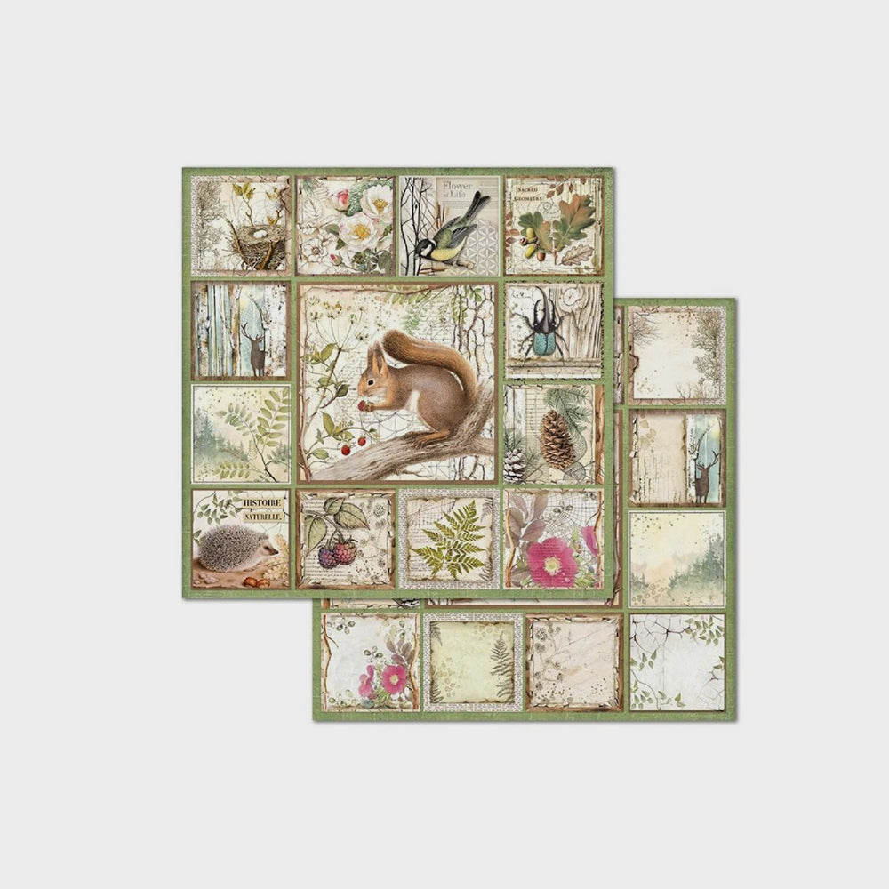 Set Bastelpapier Wald, 20 x 20 cm, Stamperia (3)